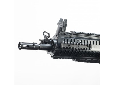 Beretta ARX160 Dboys