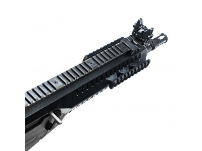 Beretta ARX160 Dboys