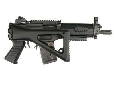 SG SIG 552 Jing Gong