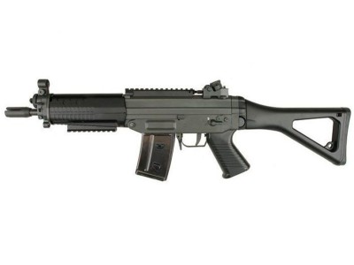 SG SIG 552 Jing Gong